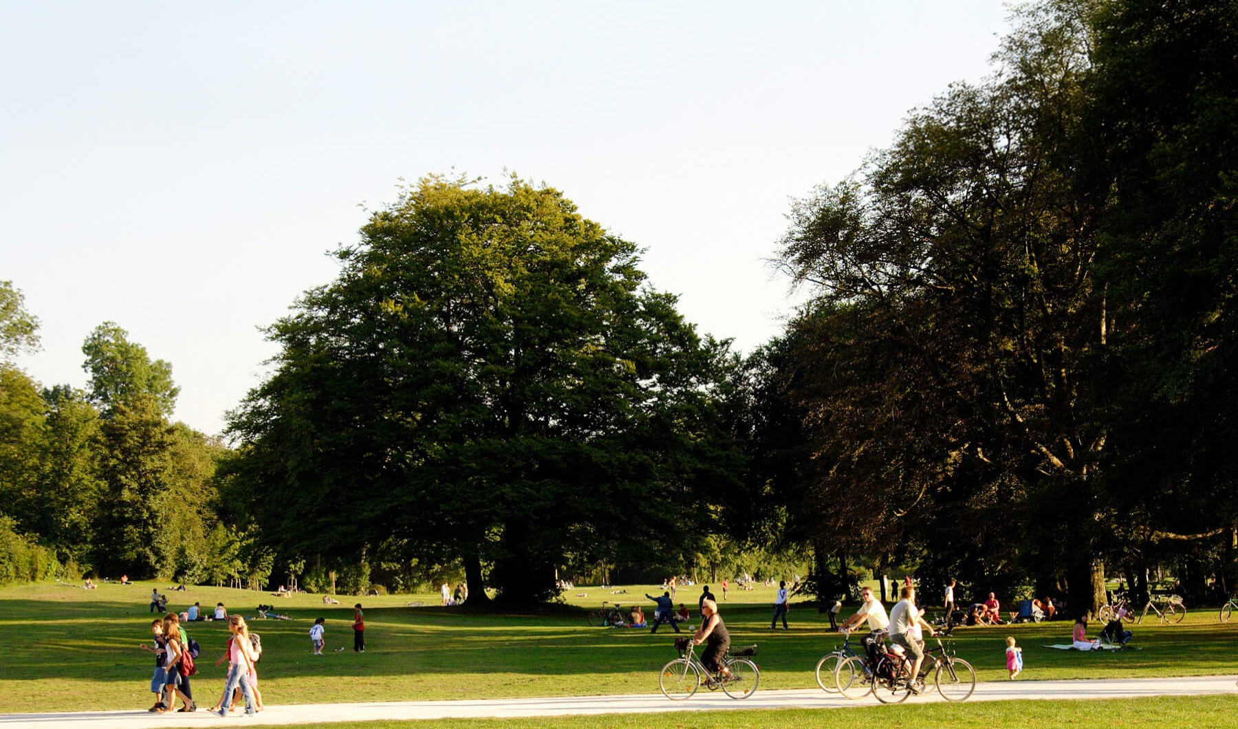 people riding bikes in a park and walking